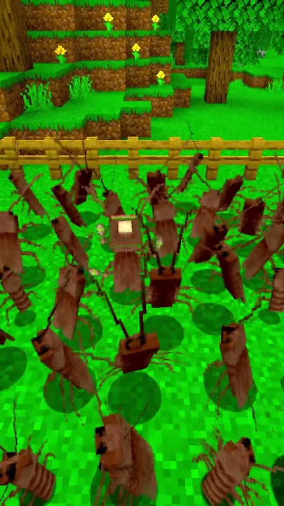 LaCucaracha Minecraft