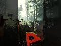 Check out my twitch for Day 2 of surving #fyp #theforest #cannibal #viralshort #survival