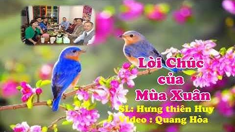 Lời chúc của mùa xuân ( Đào Liễu )SL: Hưng Thiên Huy- TB: Quang Hòa