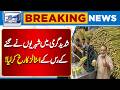 Heatwave in Pakistan | People Rush to Sugarcane Juice Stalls | Breaking News | Lahore News HD