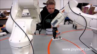 PsyIntEC Demo 6