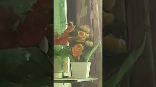 Shiv Ji Vlibz School Aane Ke Baad