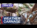 Tree crashes into home during wild wet weather in Sydney | 9 News Australia