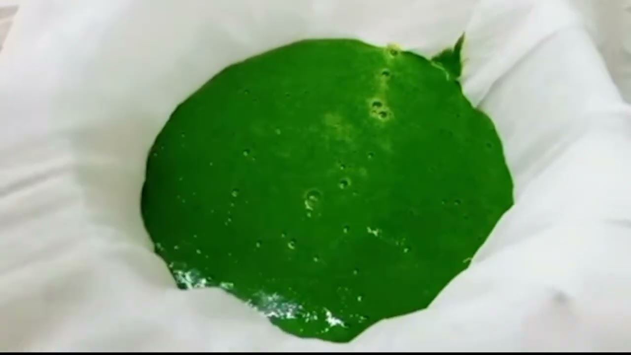 Homemade Soap Project | Taksh Shila Model Sr. Sec. School