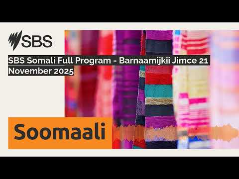 SBS Somali Full Program Barnaamijkii Jimce 21 November 2025 SBS Somali SBS Afsomali