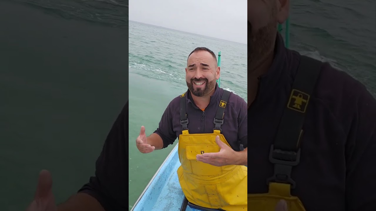 Galicia. Pesca insostenible o selectiva ? que pasa con los descartes pesqueros ? que son ?