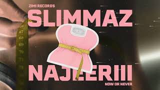 Najeeriii - SLIMMAZ (Lyric Visualizer)