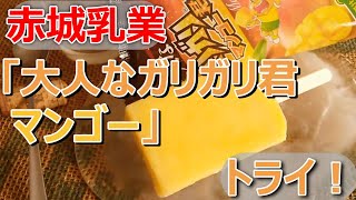 【実食】赤城乳業「大人なガリガリ君 マンゴー」果汁33％濃厚氷菓！ヨーグルトと合わせてひんやりラッシーにも