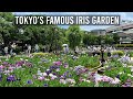 Horikiri iris festival in katsushika ward tokyo  japan live streams 2024