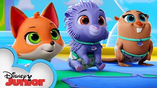 Disney Junior - Help your little tots find out which adorable animal  they're matched with using this fun T.O.T.S. game! Post their results in  the comments 🐧