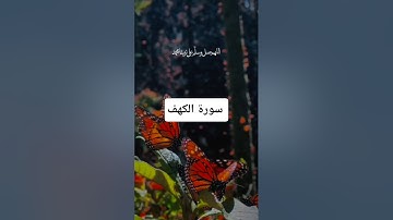اوائل سورة الكهف بصوت رائع يريح القلب #اكسبلور #المصحف #الرحمن #لايك