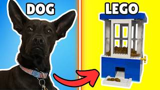 7 LEGO Builds My Dog LOVES!