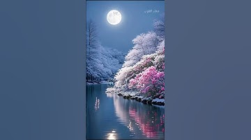 قال رب اشرح لي صدري ويسر لي أمري #سورة_طه #اكسبلور