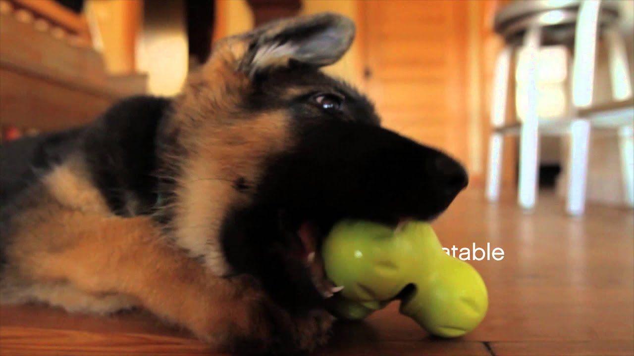 Tux - Durable Treat Toy For Dogs