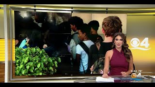 Miami-Dade And Broward Implement New Tools To Improve School Safety