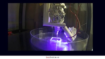Biobots video