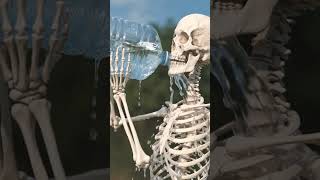 water challenge, gallon of water, hydration, water intoxication, health tips, drinking water daily.