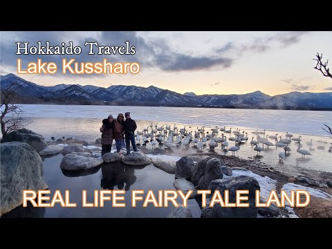 SWAN VIEWING & ONSEN BATH @ LAKE KUSSHARO| HOKKAIDO LIFE | JAPAN LIFE | TRAVEL HOKKAIDO