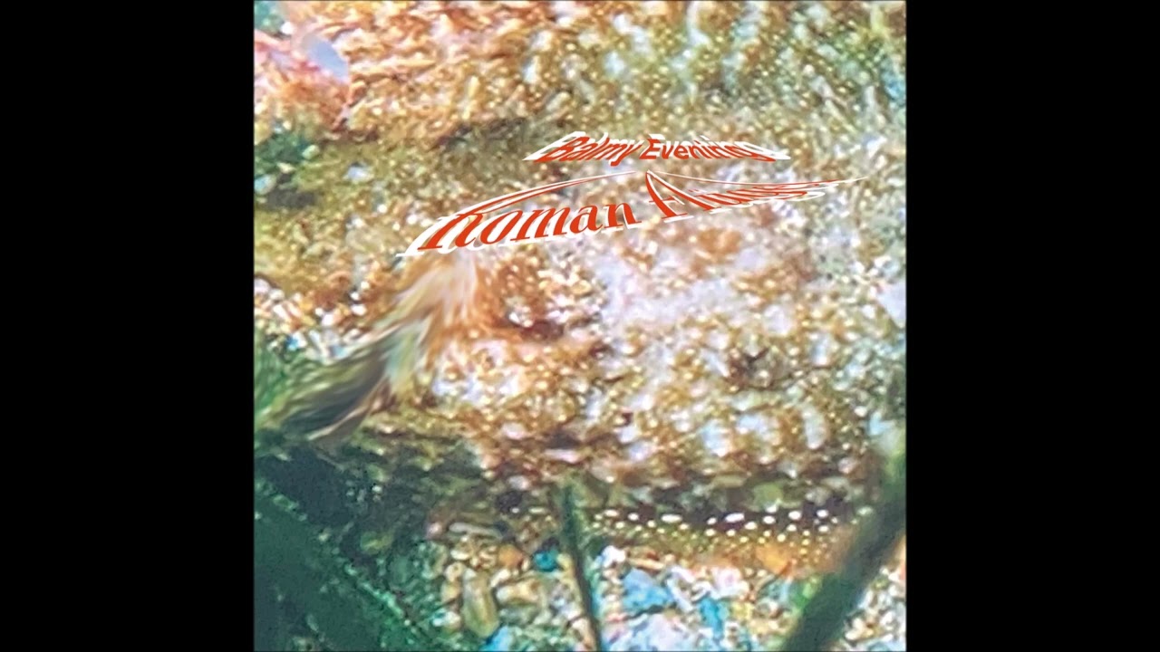 Roman Flügel - Atmosphere [MULEMUSIQ283]