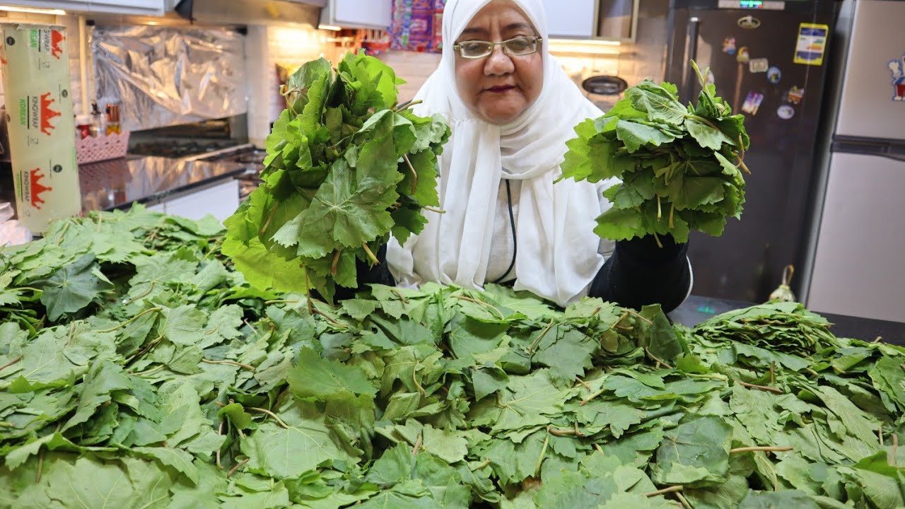 تخزين ورق العنب وسر لونه الاخضر من اول ورقة لآخر ورقة وازاى تحتفى بمزازته