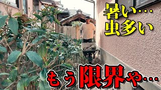 家の外周の草むしりに限界がきている方に最善の解決法をご提案【家の外周を雑草対策】