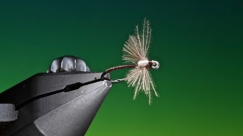Fly Tying a CDC Spent wing dry fly midge with Barry Ord Clarke