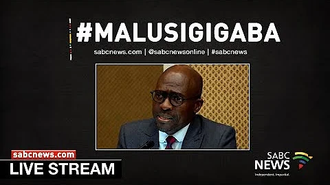 Malusi Gigaba appears before Parliament's Home Affairs Portfolio Committee