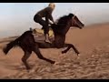 تصميم خيل / تصميمي