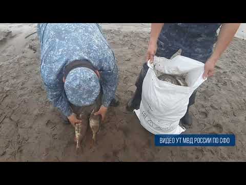Браконьеры пойдут под суд - Абакан 24