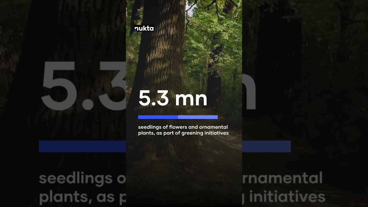 How is Dubai making its streets greener?