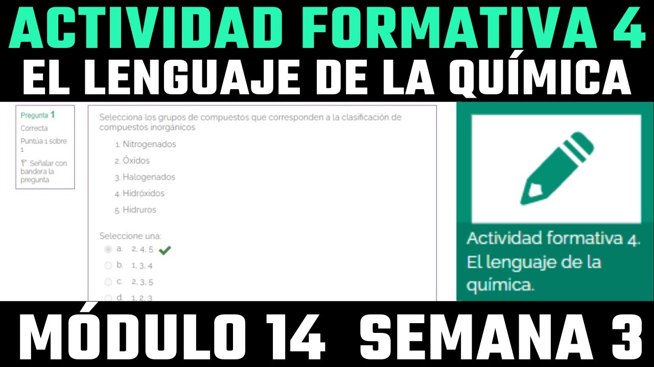 Actividad Formativa 4 El Lenguaje De La Química