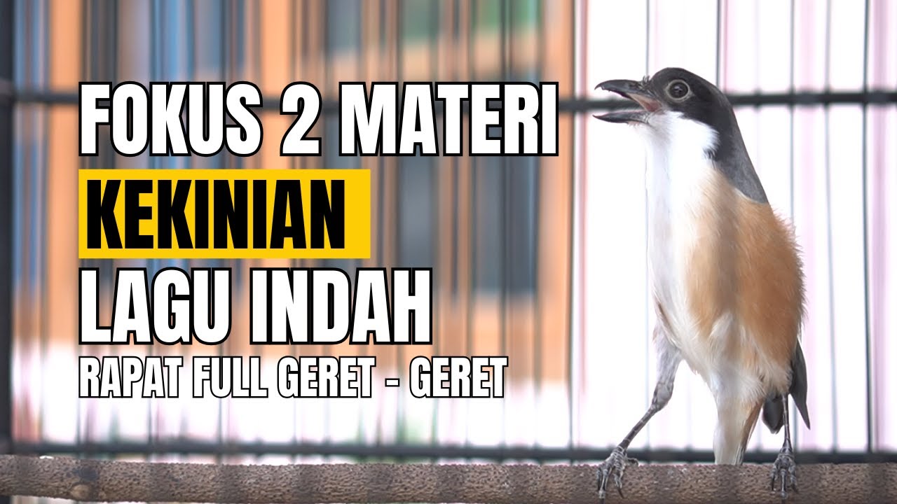 MATERAN BURUNG CENDAT VARIASI 2 LAGU RAPAT GERET - GERET  #SPESIALCENDET #MASTERANCENDET