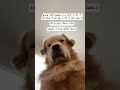 Hay re garmi//dogesh bhai meme #dogeshbhai#funny#shortvideos#biker#ytviral#ytmemes#tranding#labrador