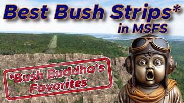 Best Bush Strips in MSFS