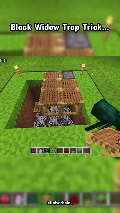 Black Widow Hostile Mob Moment… 😅