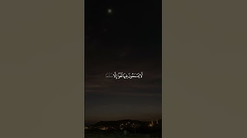 #عبدالعزيز_سحيم #سورة_الزمر #القرآن_الكريم