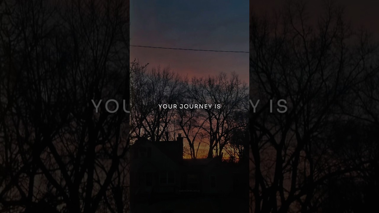 Your Journey| #subscribe #fypシ゚viral #youtubeshorts #fypシ゚viral #starbucks #life #pets #dogs #fyp