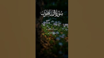 سورة المنافقون Ayat : 9-11 Best Islamic Status Video YouTube Quran Translation Urdu Sarmad___Chattha