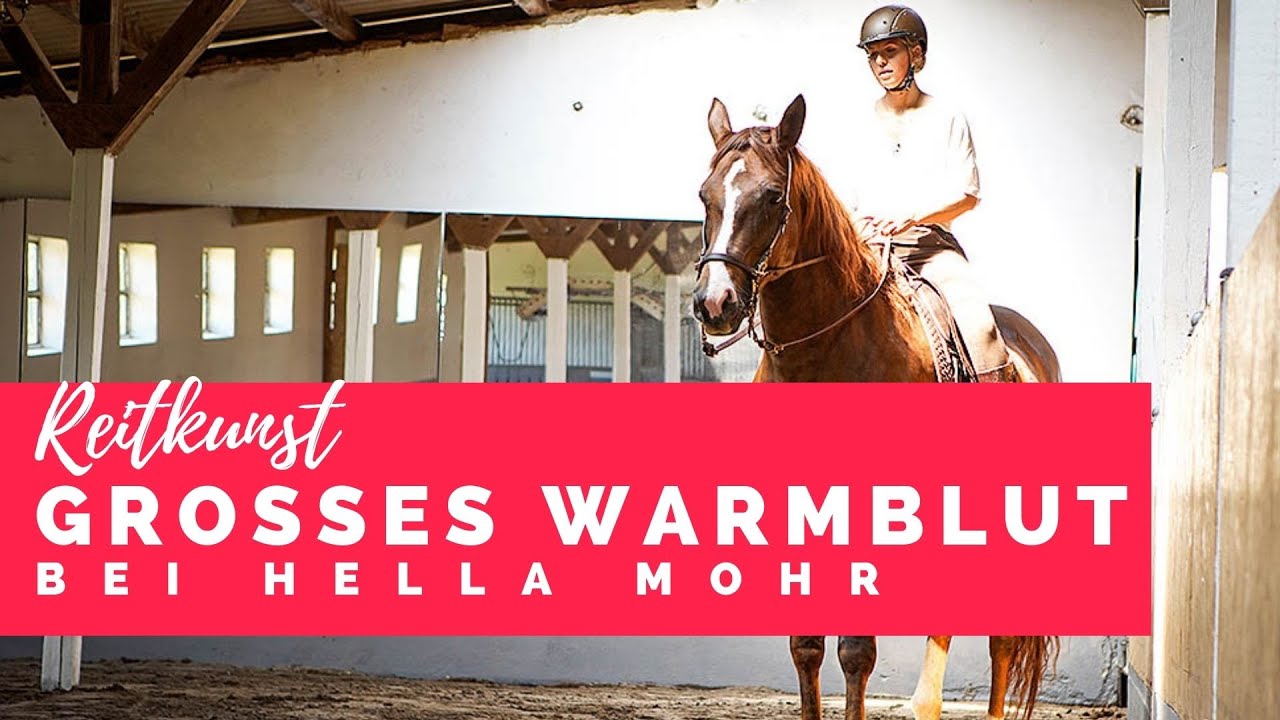 Großes Warmblut in der Reitkunst - Hella Mohr