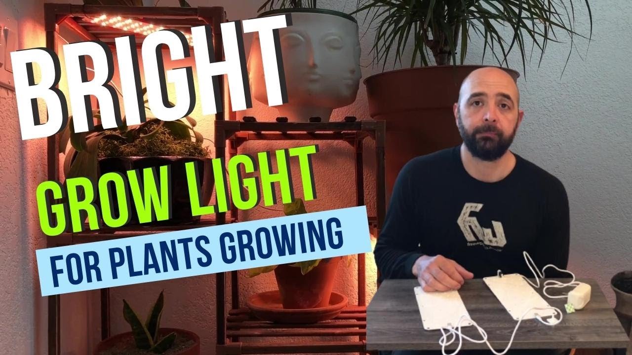 Unboxing DOMMIA Super Bright Grow Light for Plants Growing Indoor True