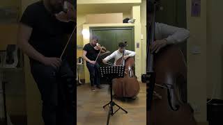 Reinhold Glière piece from the suite for viola and double bass "Preludium"