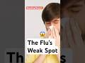 Scientist Reveals the Breakthrough That Could END the Flu Forever
