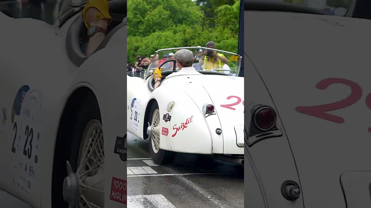 27° Vernasca Silver Flag - Sound on  🔈