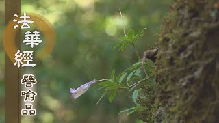 【靜思妙蓮華】法華經譬喻品 - 解佛契理 悲心入眾 - 20201016 第511集