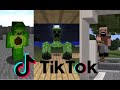 Avocados From Mexico 🥑⛏ [Minecraft TIK TOK Compilation]