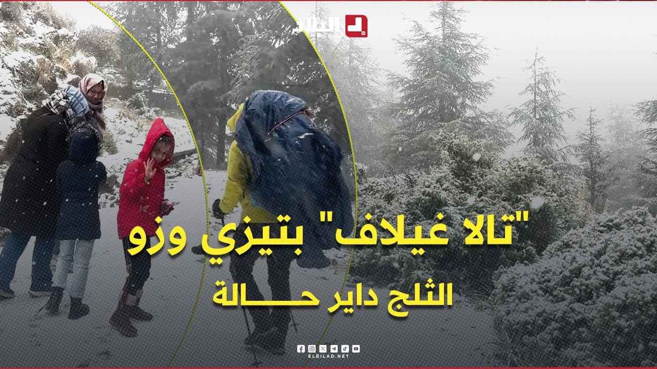 أولى زخات الثلج تحوّل "تالا غيلاف" بتيزي وزو إلى لوحة شتوية ساحرة .. 