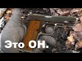 НЕОЖИДАННЫЙ СЮРПРИЗ, испанская ВОЛЫНА в лесу...