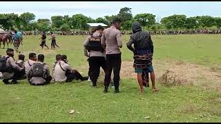 Pasola Homba Kalayo Adat Sumba
