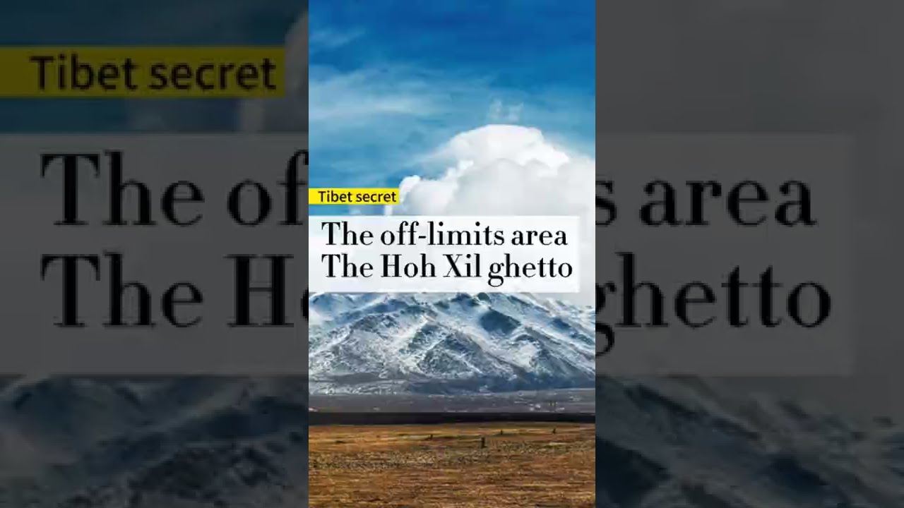 The off-limits area, the Hoh Xil ghetto