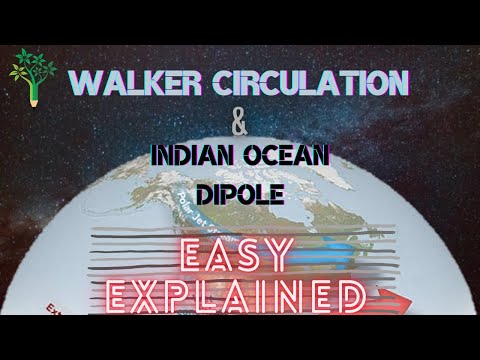 What Is WALKER CIRCULATION & Indian Ocean Dipole IOD? Why, How it occurs? Understanding the IOD.